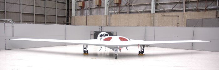 LockMart P-175 Polecat